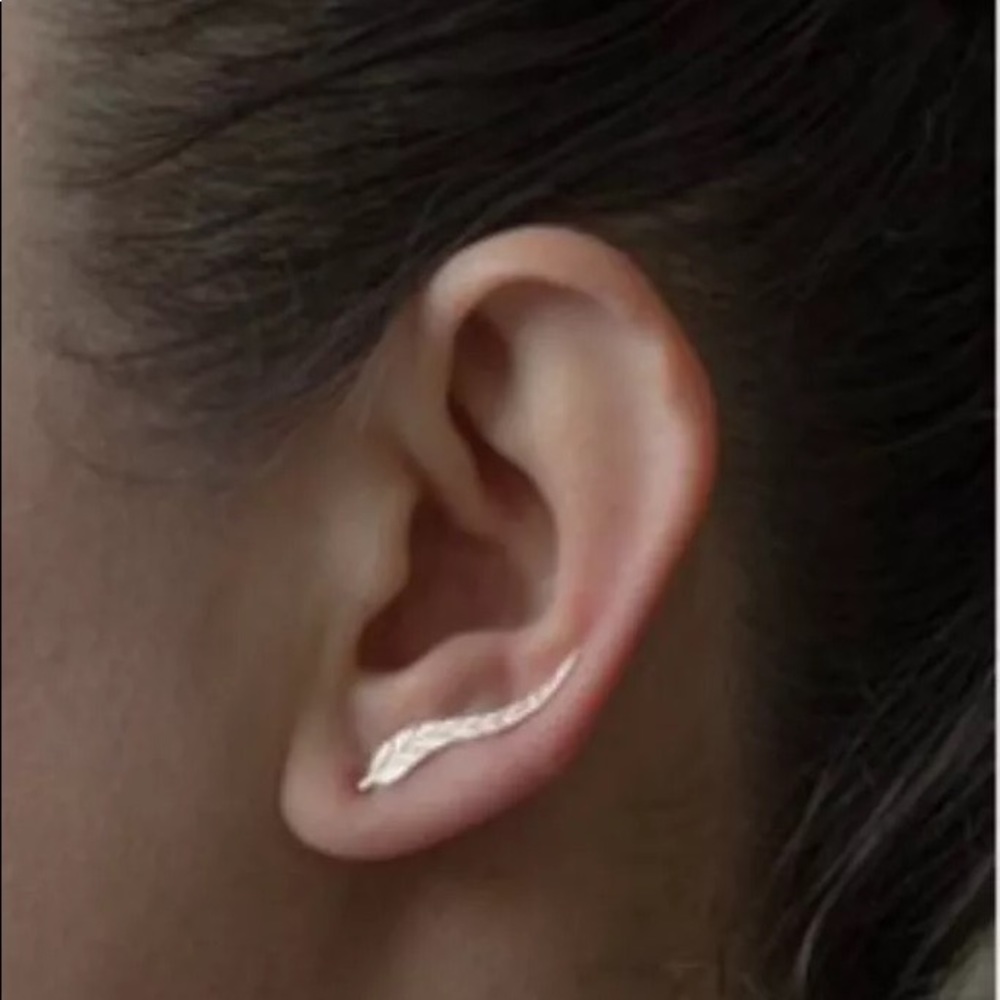 🔥 BOGO NEW  leaf earrings